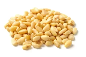 Pine nut kernels
