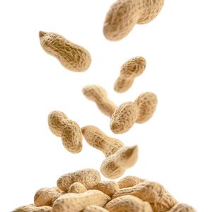 Shelled peanuts IGB