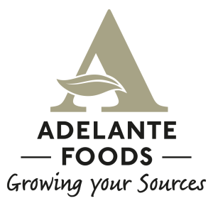 Adelante logo